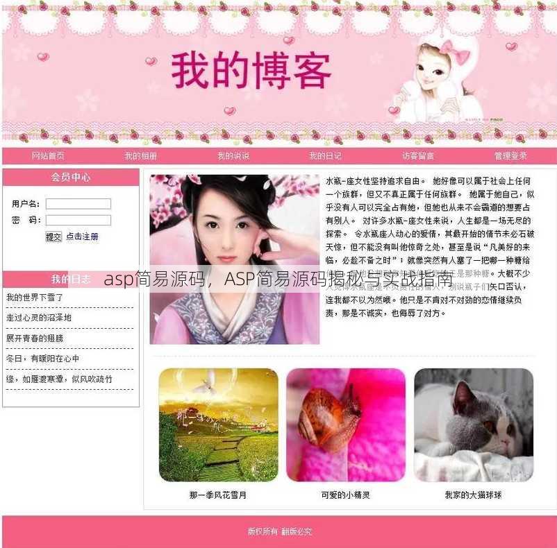 asp简易源码