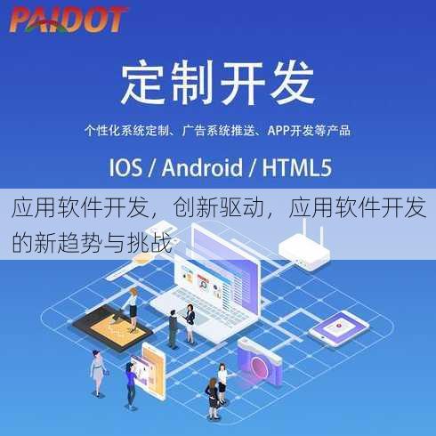应用软件开发