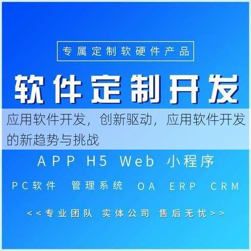 应用软件开发