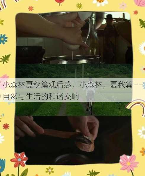 小森林夏秋篇观后感