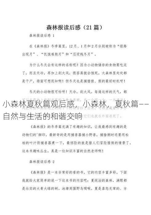 小森林夏秋篇观后感