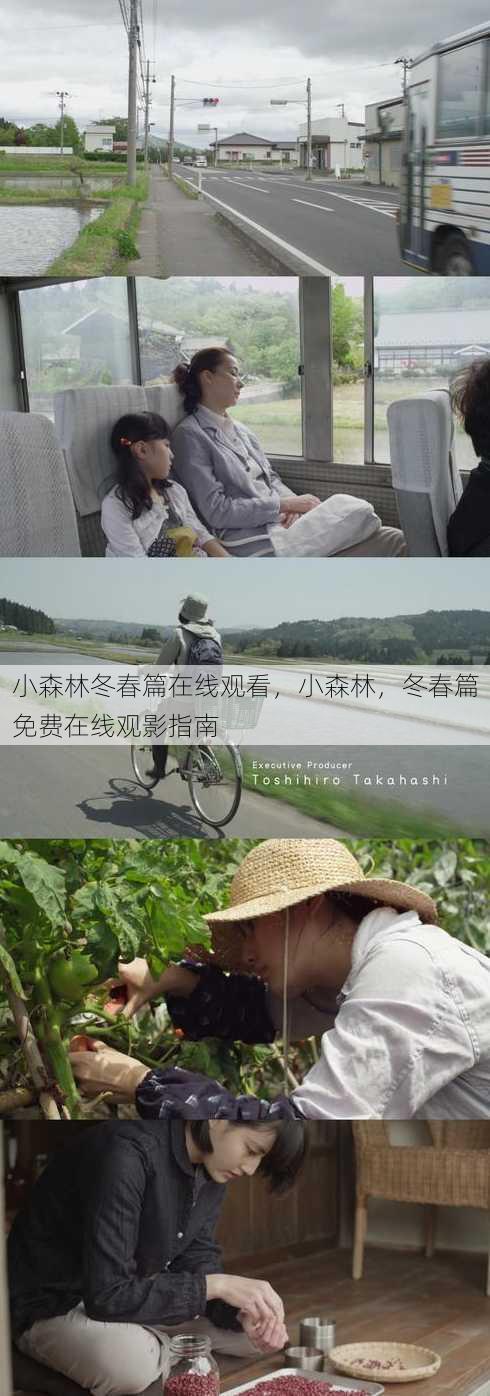 小森林冬春篇在线观看