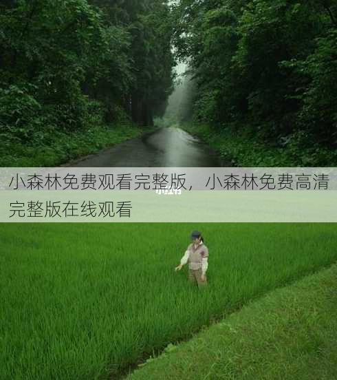 小森林免费观看完整版