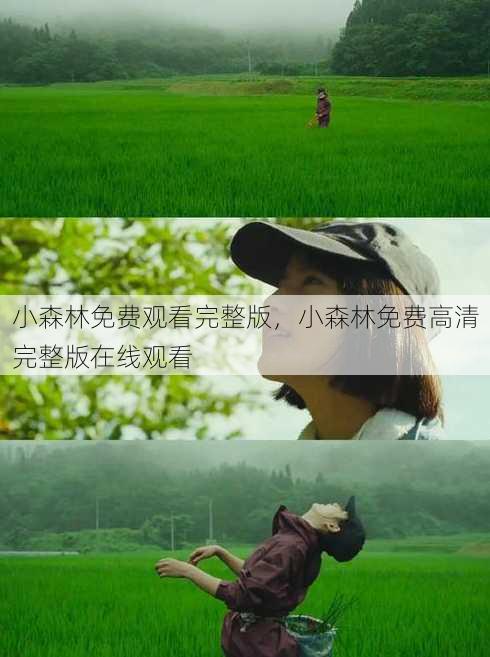 小森林免费观看完整版