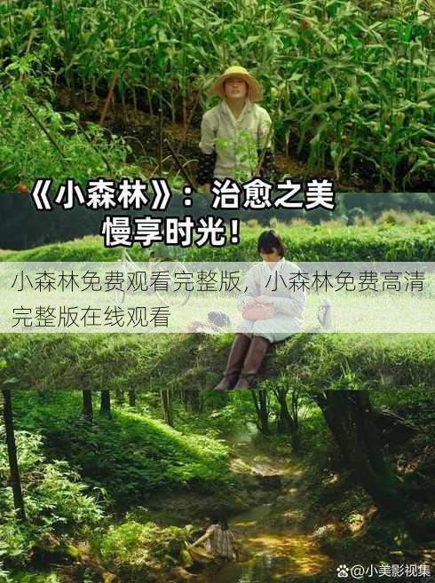 小森林免费观看完整版