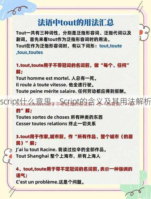 script什么意思