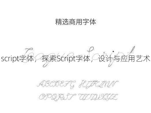 script字体