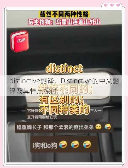 distinctive翻译