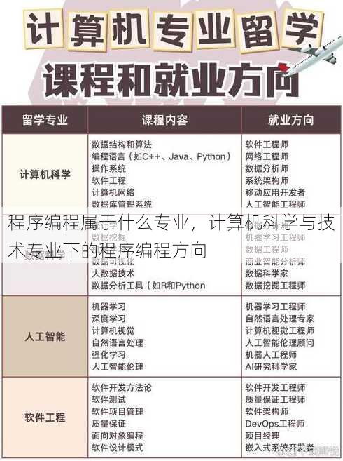程序编程属于什么专业