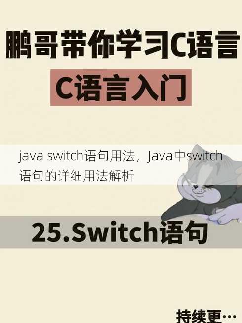 java switch语句用法