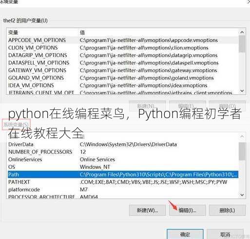python在线编程菜鸟