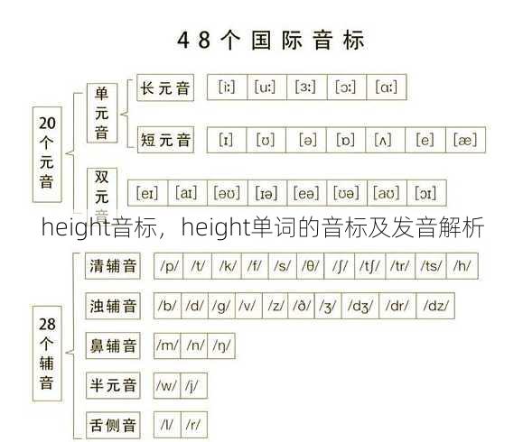 height音标