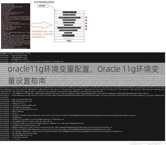 oracle11g环境变量配置