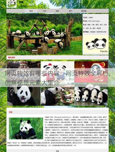 网页特效有哪些内容