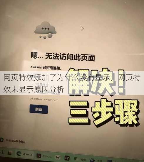 网页特效添加了为什么没有显示