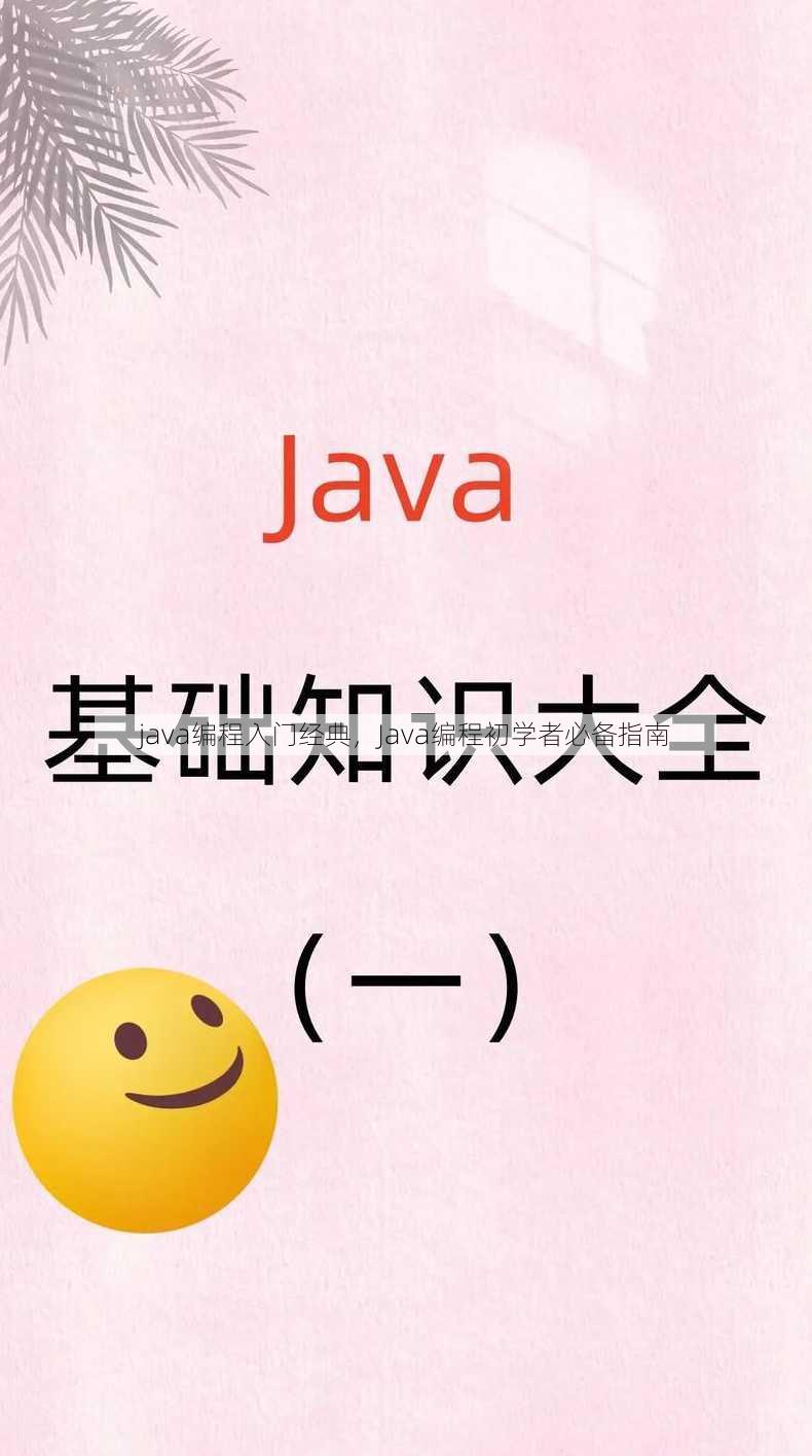 java编程入门经典