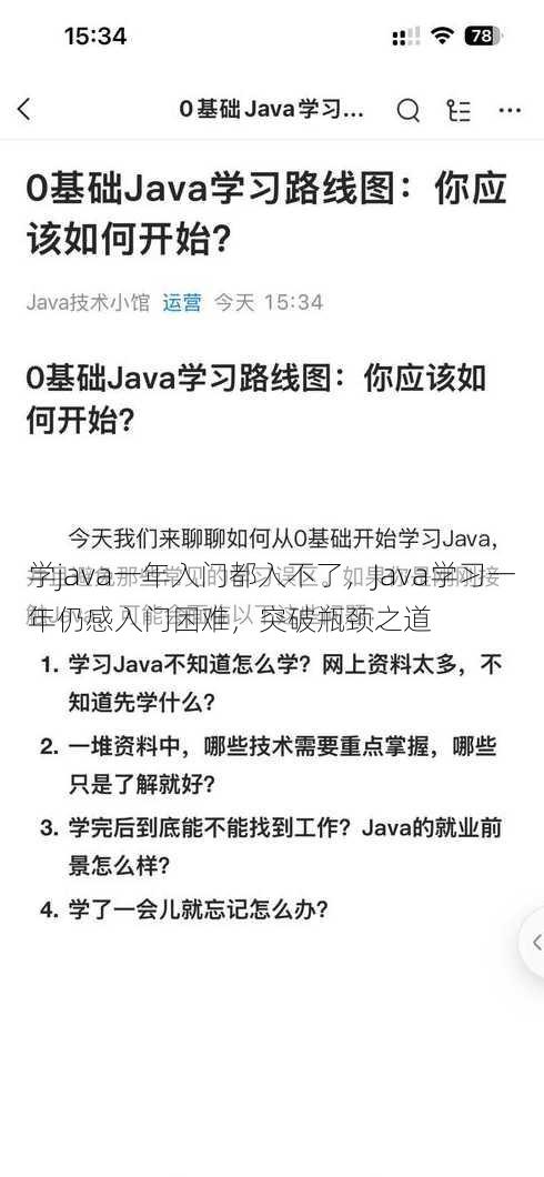 学java一年入门都入不了