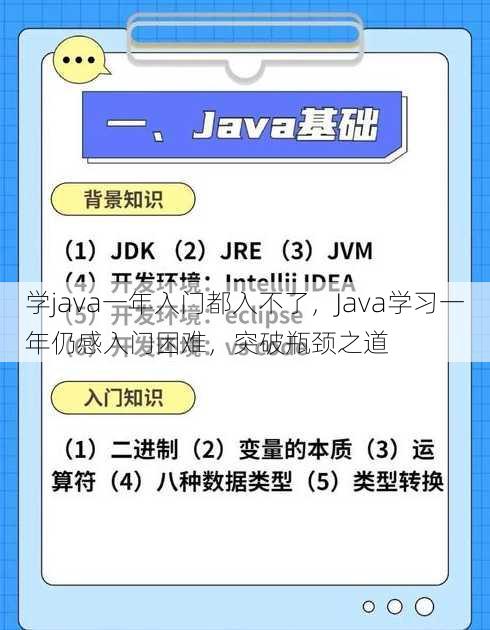 学java一年入门都入不了