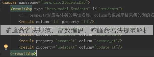 驼峰命名法规范