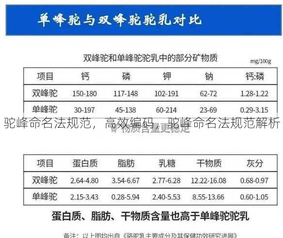 驼峰命名法规范