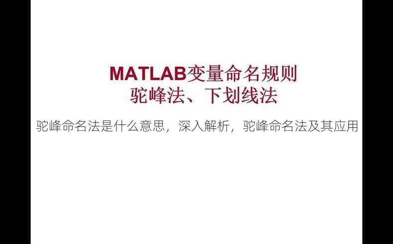 驼峰命名法是什么意思