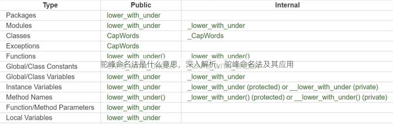 驼峰命名法是什么意思