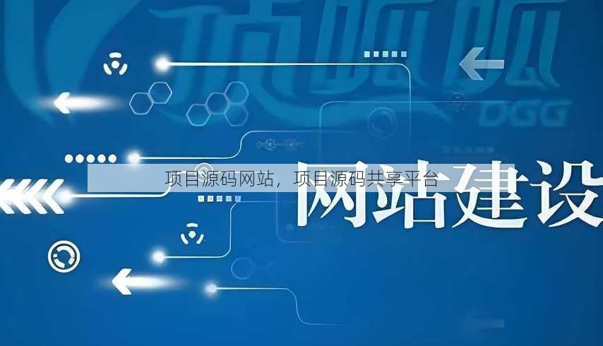 项目源码网站