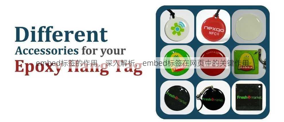 embed标签的作用