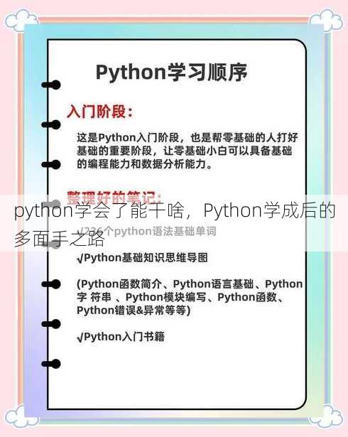 python学会了能干啥