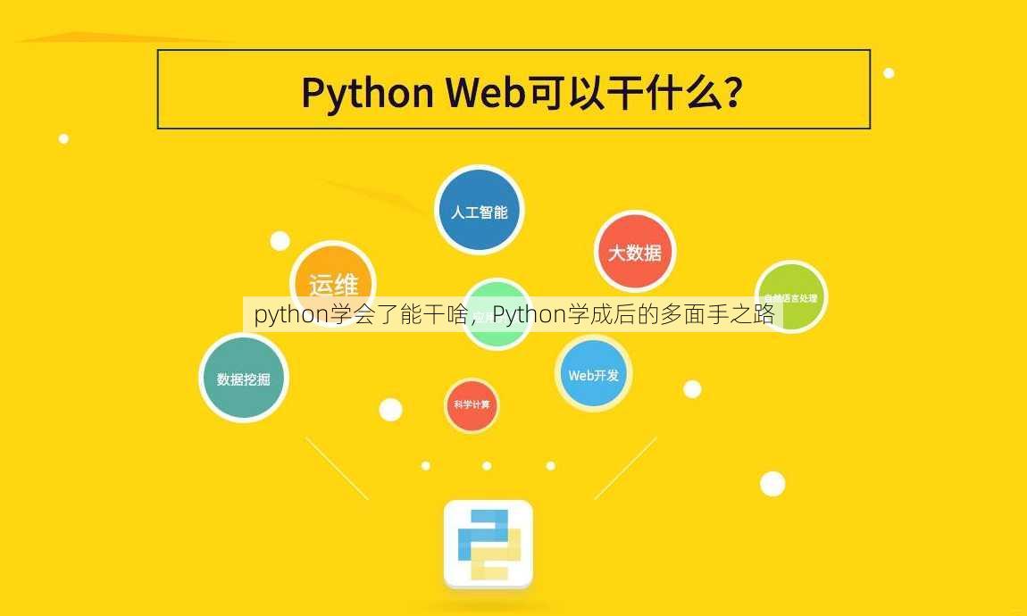 python学会了能干啥