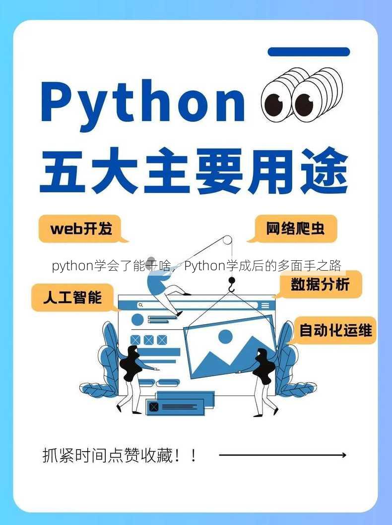 python学会了能干啥