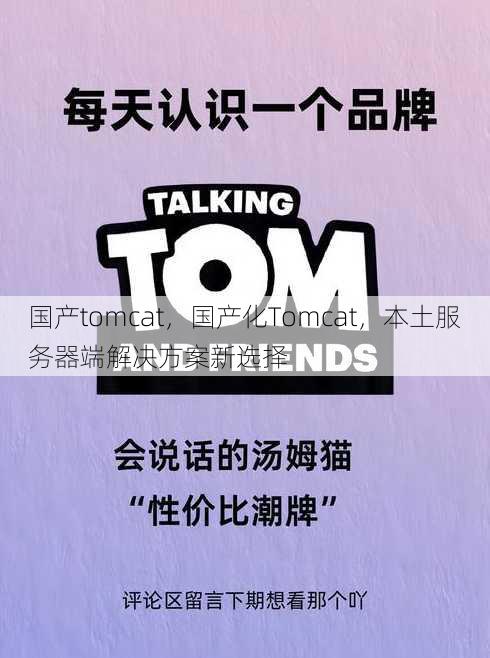 国产tomcat