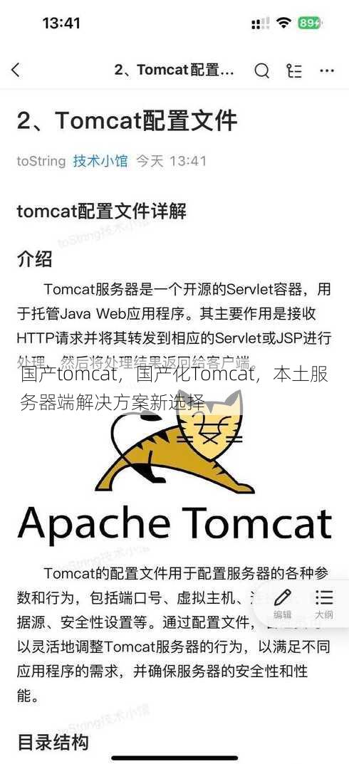 国产tomcat