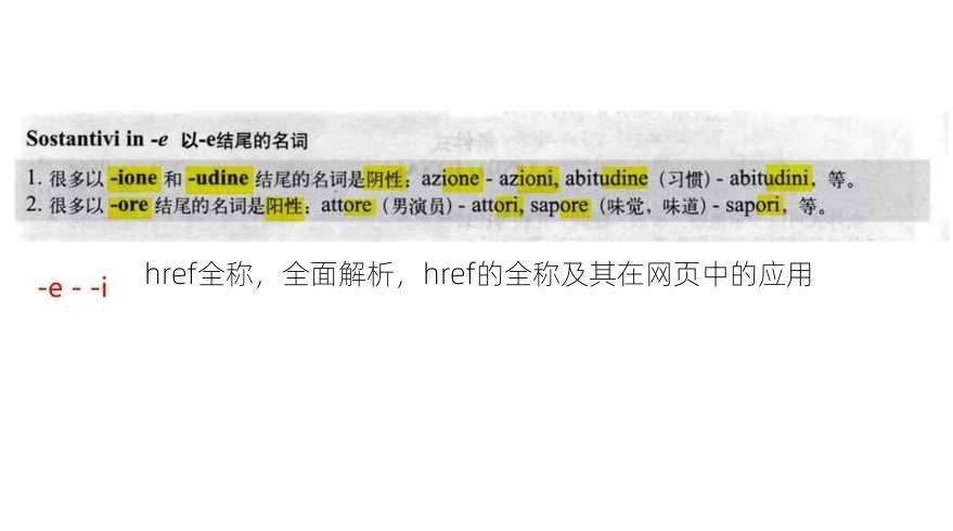 href全称