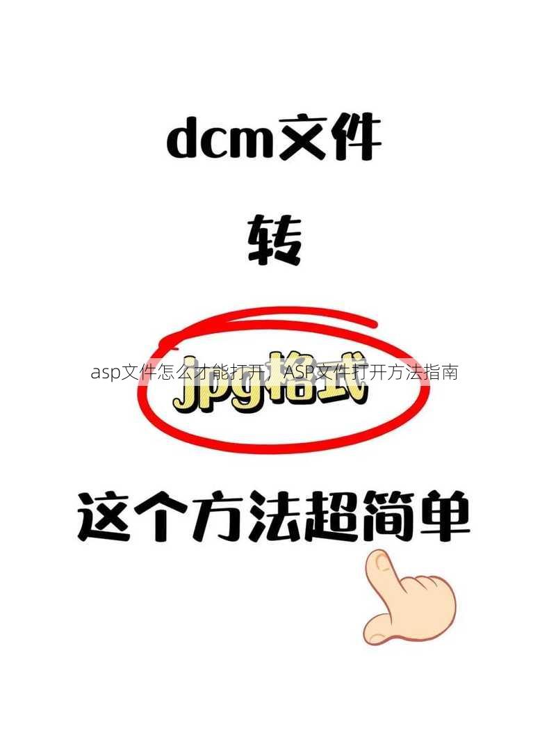 asp文件怎么才能打开