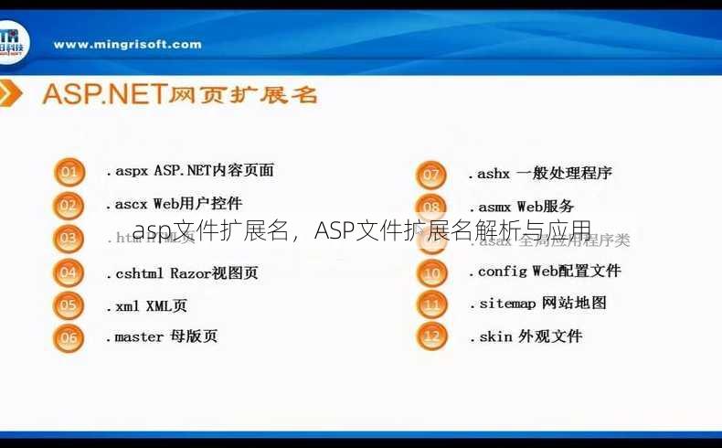 asp文件扩展名