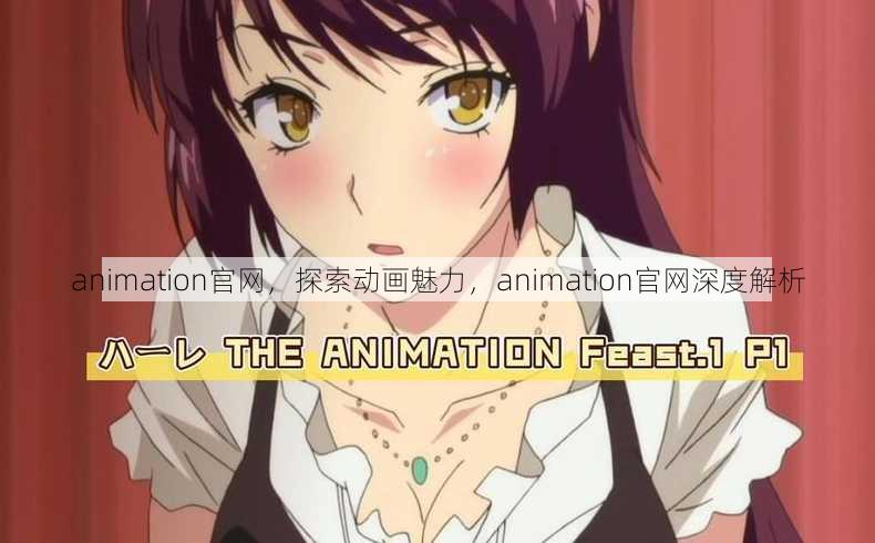 animation官网