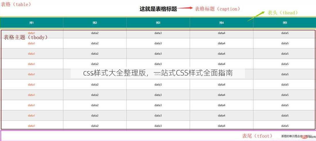css样式大全整理版