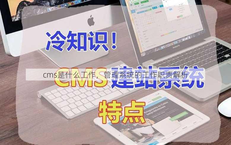 cms是什么工作