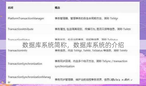 数据库系统简称
