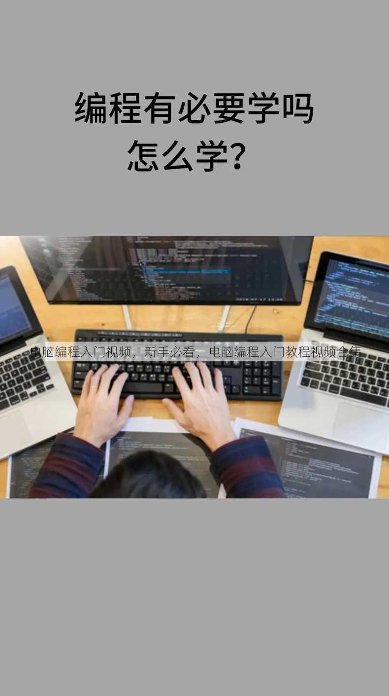 电脑编程入门视频