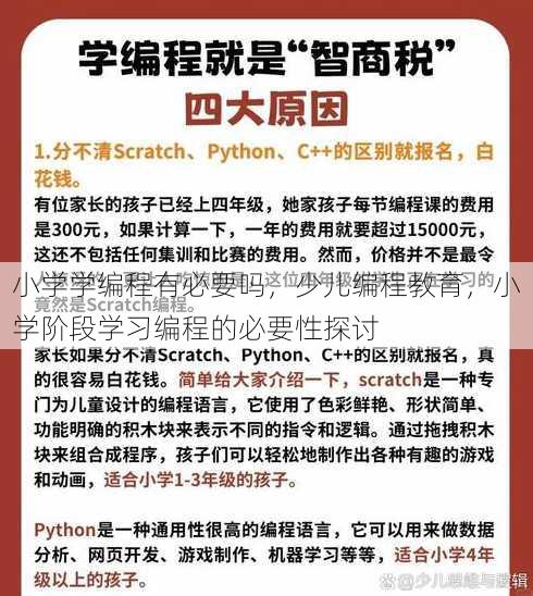 小学学编程有必要吗