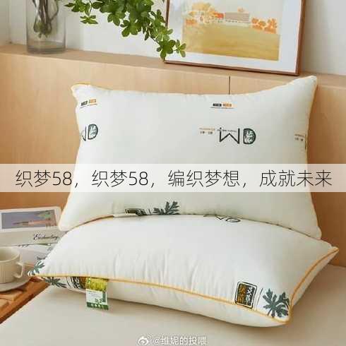 织梦58