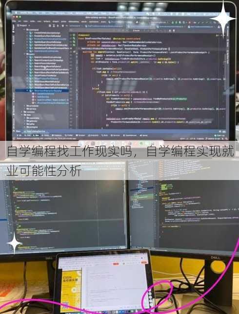 自学编程找工作现实吗