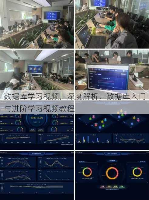 数据库学习视频