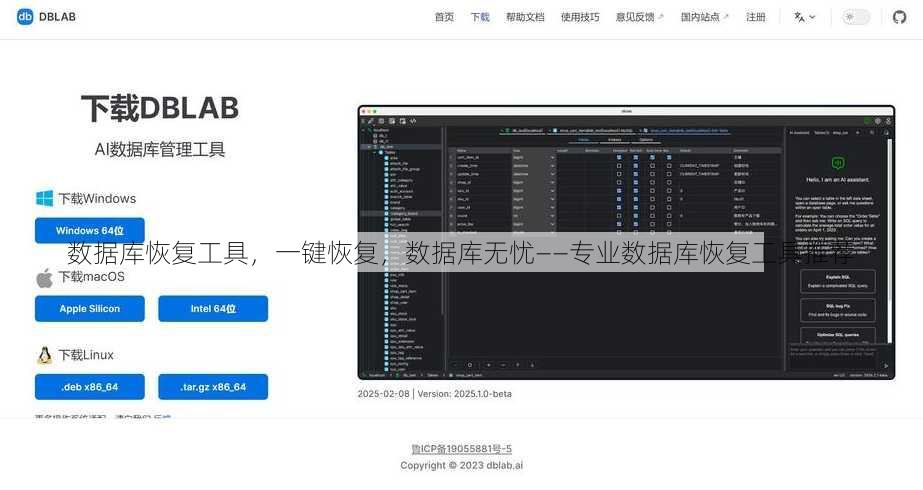 数据库恢复工具
