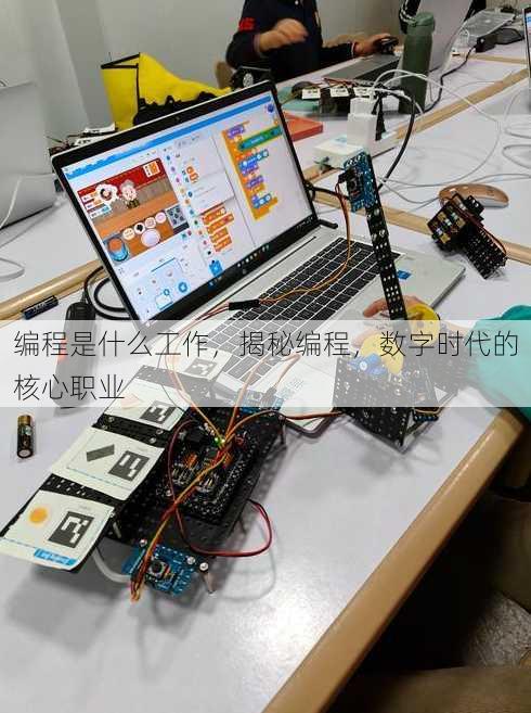 编程是什么工作