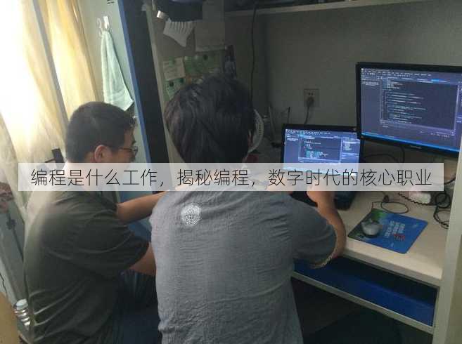 编程是什么工作
