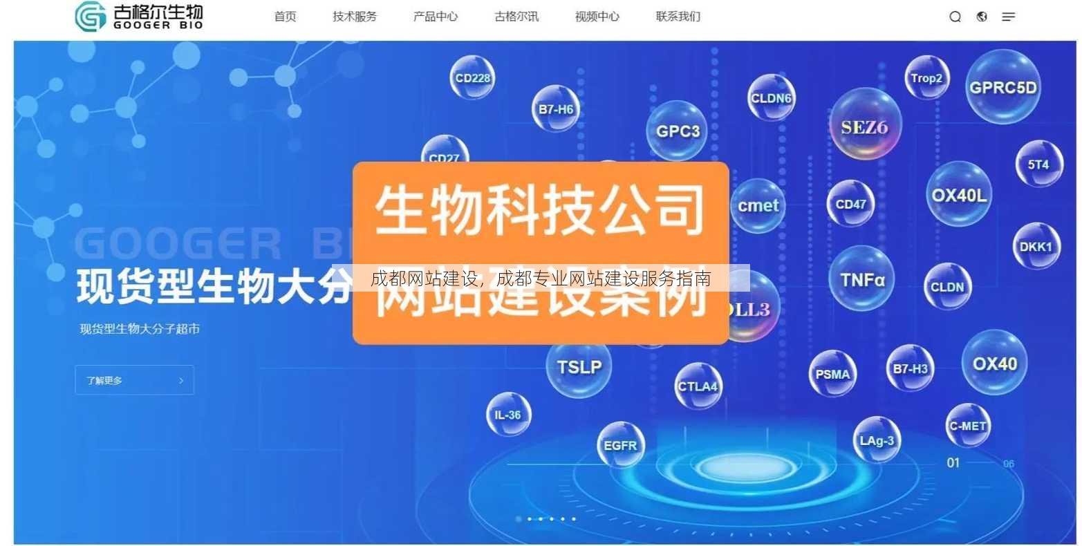 成都网站建设