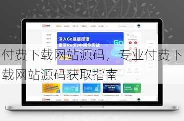 付费下载网站源码